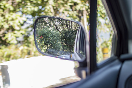 Rearview mirror at sides of the car reflection shows the trees and jungle.の写真素材