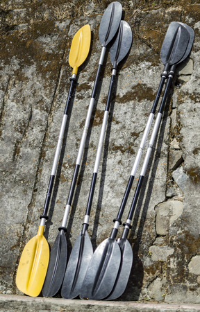 Full kayak oars of black and yellow colors on the wall.の写真素材