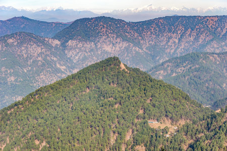 Forest on hills and mountains which have blue mist filled valleys