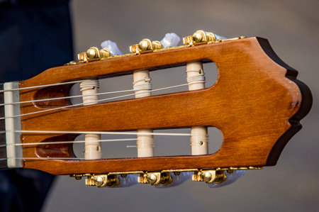 Guitar head with strings and rings for tuning.