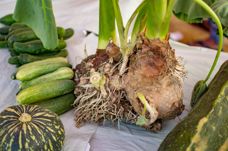 Vegetable with roots and plant in studio