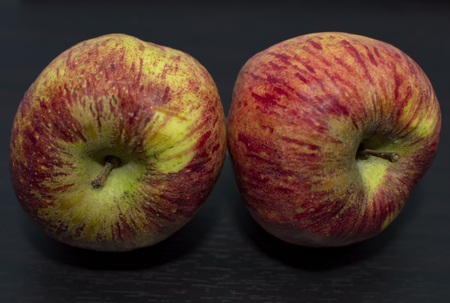 Two apples on black surface and of red and green color with lightの写真素材