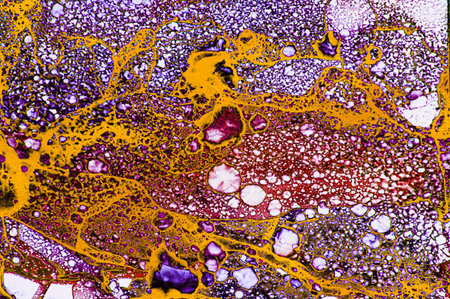 Mesh of various colors and golden dust filled lines on Alcohol ink fluid abstract texture fluid art...