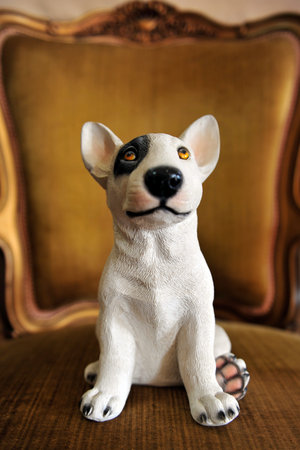 a dog on the luxury chairの写真素材