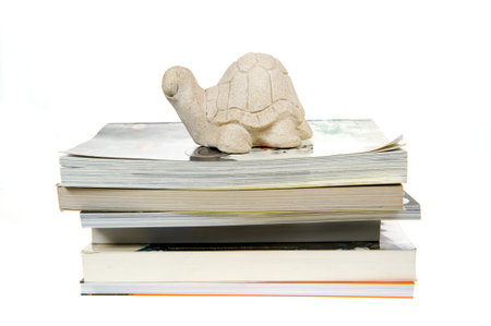 stone turtle on white backgroundの写真素材