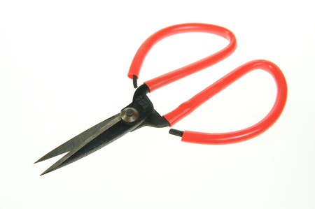 a red scissors on a white background の写真素材
