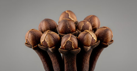 Close up of dried cloves isolated on grey background. Top view.の素材