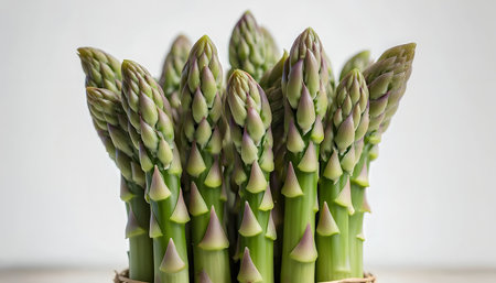 bunch of fresh green asparagus in a basket on white backgroundの素材