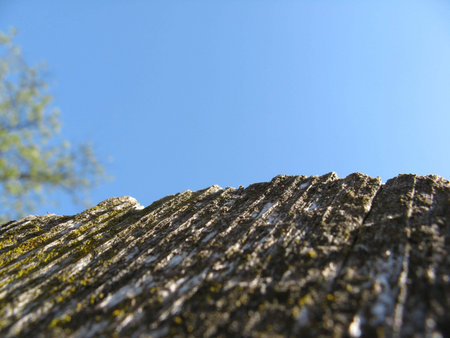 old fenceの写真素材
