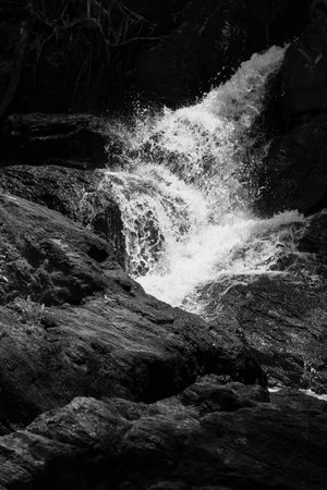 Water fallの写真素材