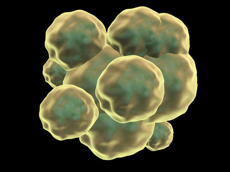 cord blood Stem cell