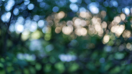 Multicolored background consisting of blue, green, golden and other colors. Abstract background, radiance and blur of light spots.の写真素材