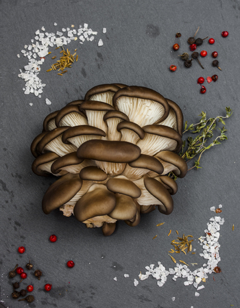 large bunch of oyster mushrooms not cookedの写真素材