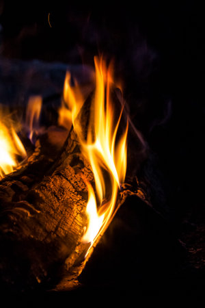 fire flames with sparks on the coals