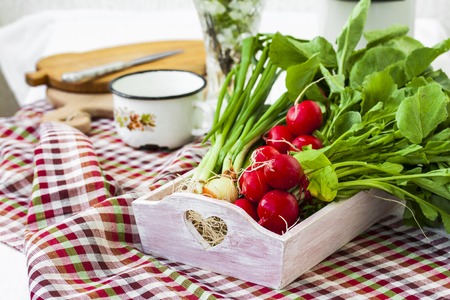 bundle of  bright fresh organic radishes with leaves in rustic styleの写真素材