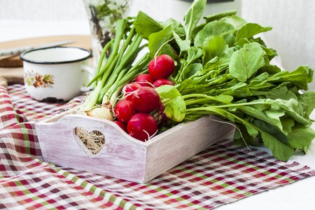 bundle of  bright fresh organic radishes with leaves in rustic styleの写真素材