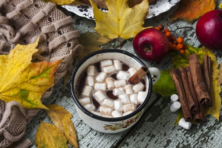 Hot chocolate with marshmallows and spices on the old wooden boardsの写真素材