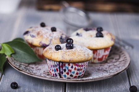 Blueberry muffins with powdered sugarの写真素材
