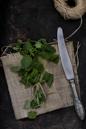 bunch of mint on a rusty backgroundの写真素材