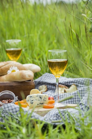 Picnic at the park on the grassの写真素材