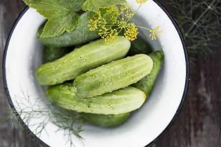 organic fresh cucumbers in bowl on wooden backgroundの写真素材