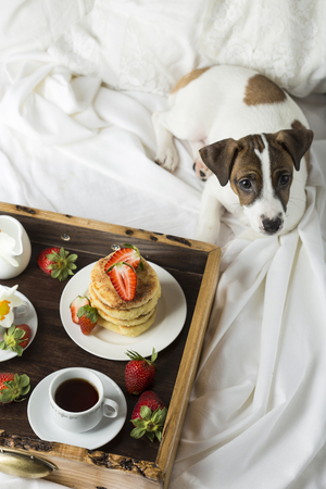 Breakfast in bed: cottage cheese pancakes, coffee and strawberriesの写真素材