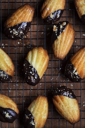 Madeleine cookies in chocolate icing and coconut crumbsの写真素材