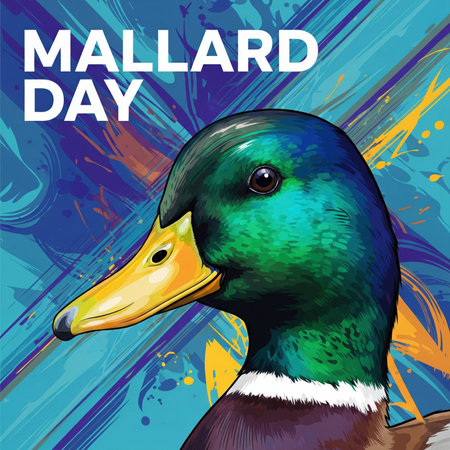 A striking close-up portrait of a male mallard duck's head. The iridescent green head, detailed feathers, yellow beak, and white neck collar are rendered with vibrant colors and sharp detail. The background is an abstract composition of blue, yellow, and orange paint splatters and brush strokes, creating a dynamic and artistic effect. The text "MALLARD DAY" is prominently displayed in bold white letters.の素材