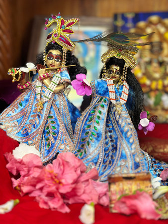 Two beautifully crafted figurines of the Hindu deities Krishna and Radha are displayed prominently. They are adorned in elaborate blue silk dresses with intricate gold embroidery. Both figures wear ornate crowns, necklaces, and garlands. One figure holds a flute, suggesting the divine music associated with Krishna. Pink and purple flowers, along with peacock feathers, add to the decorative arrangement. The figurines are placed on a red cloth, with other religious imagery visible in the...の写真素材