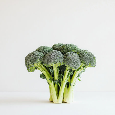 Fresh green broccoli bunch on white background.の素材