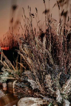 An arrangement of dried wildflowers and grasses creates a rustic atmosphere at sunset, highlighting natural textures and muted colors against a peaceful evening sky.の写真素材