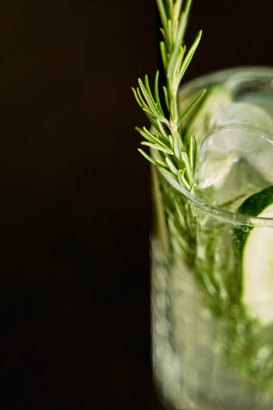 A refreshing cocktail featuring fresh rosemary and cucumber slices, served chilled with ice in a...