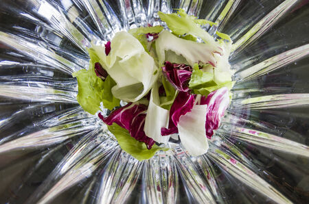 Prepared for mixed salad of lettuce and radicchio on abstract backgroundの写真素材