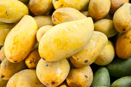 Ripe mango, yellow, multi-tenant retail.の写真素材