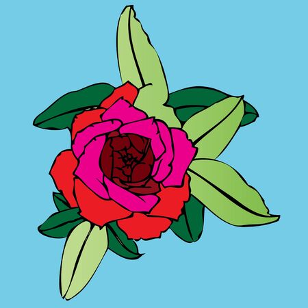 Red rose isolated on a blue background.eps10のイラスト素材