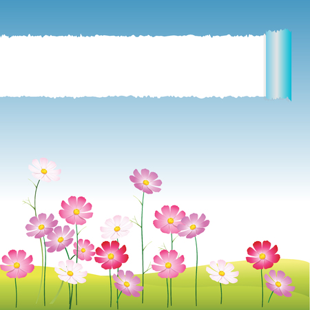 Background field of flowers with a tear.のイラスト素材