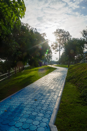 Bicycle lane in the park, sport and recreation concept background.