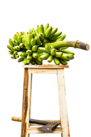 &#3642;Banana bunchの写真素材