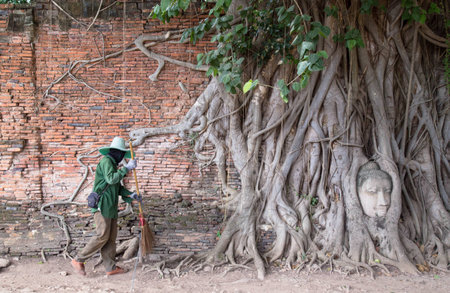 Head of Buddha statue in pipal tree root at Ayutthay,Thailand and Sweepers garbage cleaning it.の写真素材
