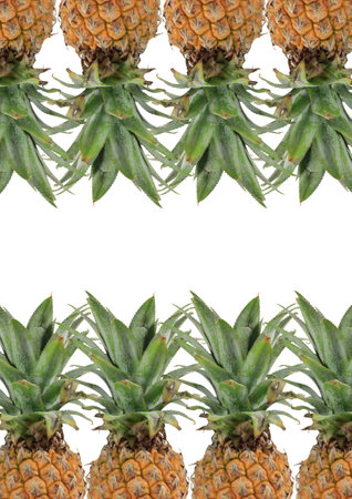 8 Pineapples with green leaves on white backgroundの写真素材