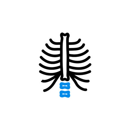 chest x ray icon vector