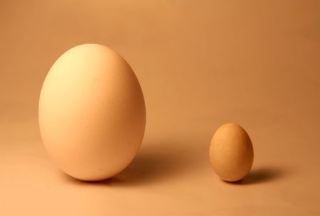 Big Egg, Little Eggの写真素材