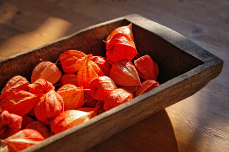 Still Life of Fizalis Fruits. Home still life in a wooden cup.の写真素材