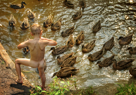 A boy on the river bank feeds a duck. Summer, river, many ducksの写真素材