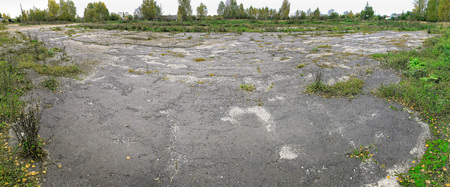 Panorama of old asphalt with sprouted grassの写真素材