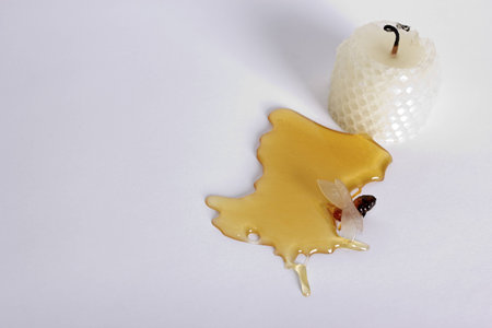 Beeswax candle with a bee and honeyの写真素材