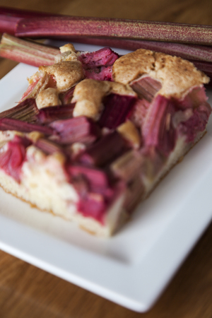 Cake with fresh rhubarbの写真素材