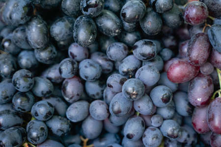 black ripe grapes close-up, lies on the counter of the marketの写真素材