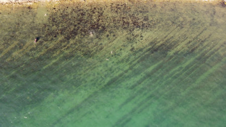 top view of turquoise water with embossed sea bottomの写真素材