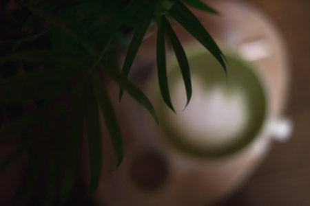 top view of green coffee, palm leaves in the foregroundの写真素材